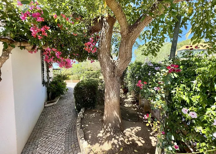 Villa Alvor Traditional With Pool By Homing