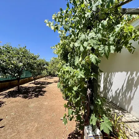 Alvor Traditional With Pool By Homing וילה