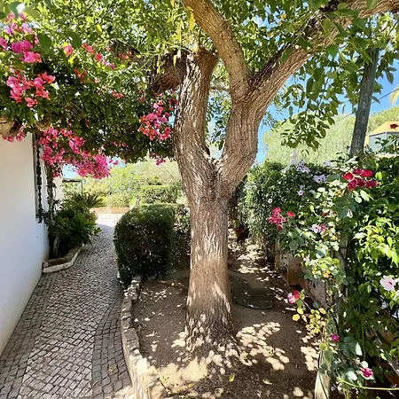 וילה Alvor Traditional With Pool By Homing